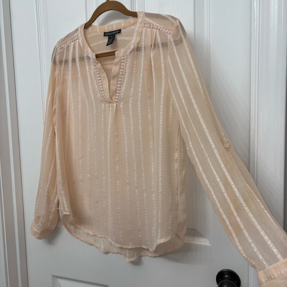 Sheer Blush Stripe Blouse | Chelsea & Theodore S - Picture 4 of 9